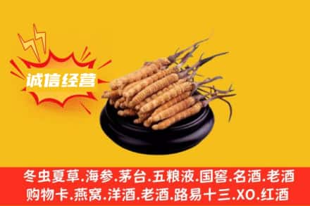 凉山冕宁县回收冬虫夏草